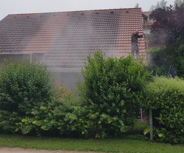 Dachreinigung